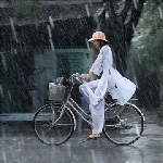 Nhớ mưa xứ Huế