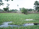 Cần có giải pháp khơi thông dòng chảy các hồ trong kinh thành Huế