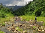Bắt giữ đối tượng săn bắn động vật rừng trái phép trên đất Lào