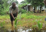 Tràn thủy điện: 3 xã của huyện A Lưới ngập lụt