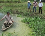 Vụ "Nhà máy tinh bột sắn TT-Huế xả thải độc": Vẫn hỗ trợ thiệt hại nhỏ giọt