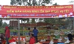 Đẩy mạnh đưa hàng bình ổn Tết về nông thôn 