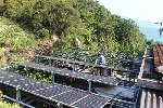 Pin mặt trời VN thành công lớn tại Hội chợ quốc tế Intersolar.