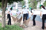 Tổng vệ sinh trên toàn địa bàn thành phố Huế đón Tết Nguyên đán Ất Mùi