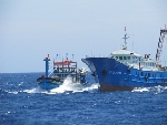 Tàu Trung Quốc cướp tài sản, đâm hỏng tàu cá Việt Nam