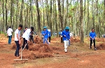 Chủ động triển khai các biện pháp cấp bách để bảo vệ rừng, phòng cháy, chữa cháy rừng