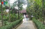 Thừa Thiên Huế: Loay hoay bảo tồn di sản nhà vườn Huế