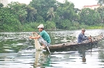 “Làng chài” giữa phố