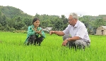 Biến hố bom thành đồng ruộng