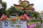 Thi sáng tác bài hát về Festival hoa