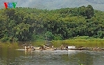 Nhức nhối nạn khai thác cát sạn trái phép trên sông Hương