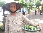 Mớ hoa ngọc lan của mệ