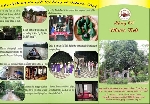 Nhiều chương trình tại lễ hội “ Hương xưa làng cổ- Du lịch cộng đồng” huyện Phong Điền năm 2016