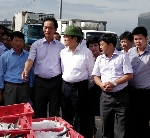 Nguyên Chủ tịch nước Trương Tấn Sang thăm Cảng Cá Thừa Thiên Huế.