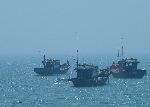 Phú Vang được hỗ trợ 4,758 tỷ đồng khai thác, nuôi trồng  hải sản trên các vùng biển xa