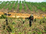 Gia hạn dự án "Giảm thiểu bom mìn tại tỉnh Thừa Thiên Huế" hoạt động trong năm 2017