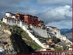 Lhasa vẫy gọi