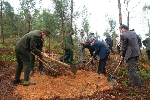 Lễ phát động “Tết trồng cây đời đời nhớ ơn Bác Hồ” xuân Tân Sửu 2021