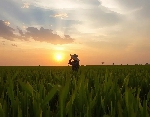 Chùm thơ Lệ Hằng