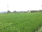 Chùm thơ Vĩnh Thông