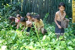 Chùm thơ Nguyễn Đức Bá