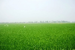 Chùm thơ Lâm Minh Thường