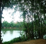 Thơ Sông Hương 10-2004