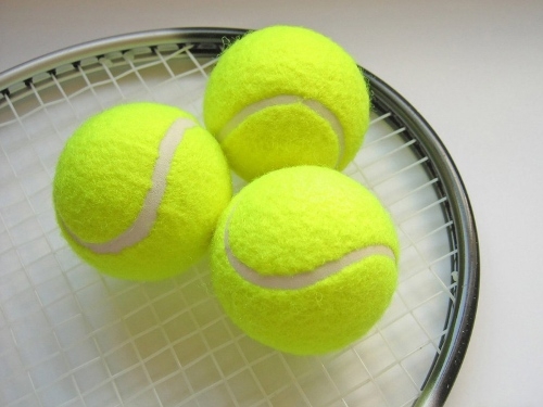 Sở Giáo dục và Đào tạo TT- Huế tổ chức giải quần vợt ngành Giáo dục 