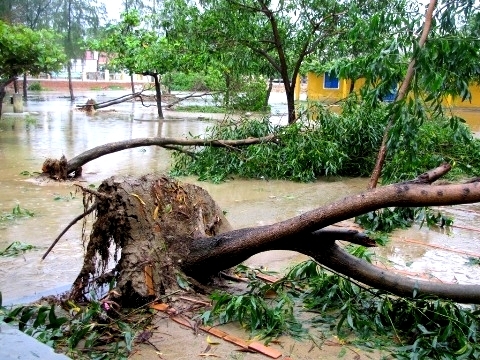 Bộ Y tế lập đoàn kiểm tra, hướng dẫn phòng, chống dịch bệnh sau bão, lụt tại Thừa Thiên Huế