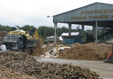 Thừa Thiên Huế: chấn chỉnh công tác bảo vệ môi trường tại nhà máy tinh bột sắn FOCOSEV Phong Điền