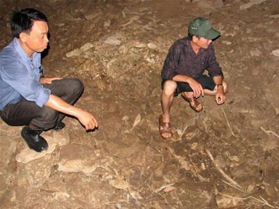 Chuẩn bị khai quật khảo cố tại Hang Diêm, Thanh Hóa