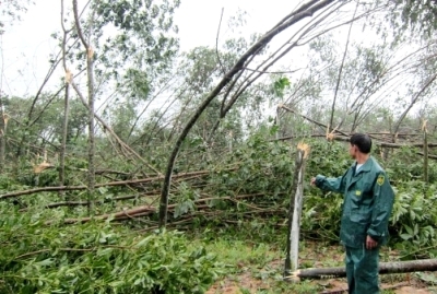 Nam Đông: Hơn 1.200 suất quà cho bà con bị thiệt hại do bão số 11 gây ra