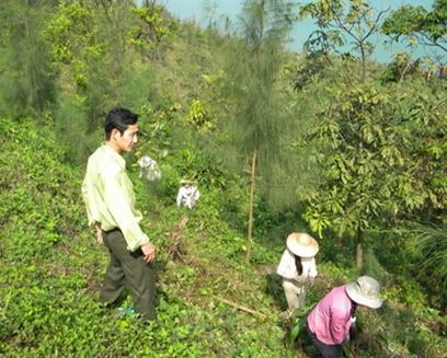 Tăng cường các biện pháp hạn chế sử dụng tài nguyên rừng tự nhiên 