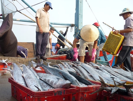 Ngư dân Thừa Thiên - Huế trúng đậm chuyến biển đầu năm