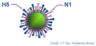 Huế: Phát hiện ca cúm A/H1N1 đầu tiên