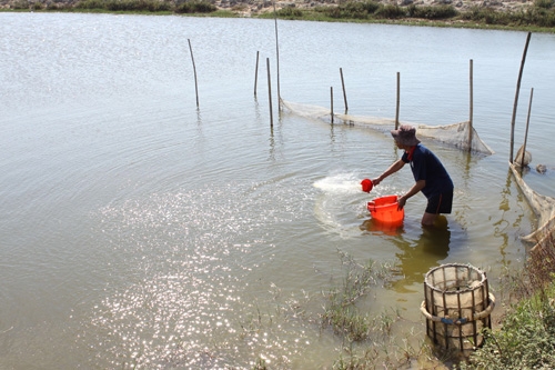 Thừa Thiên - Huế dành 709 tỷ đồng nuôi trồng thủy sản 