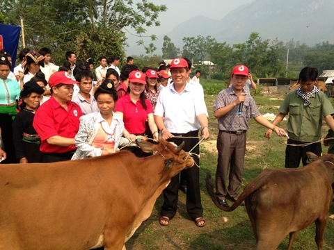 Phong Điền: Đầu tư phát triển đàn bò chất lượng cao giai đoạn 2014 - 2016