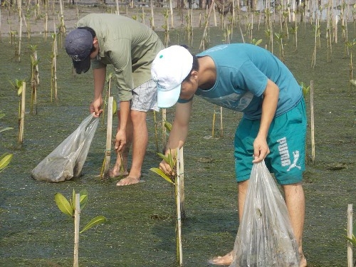 Hội nghị lấy ý kiến về dự thảo Quy chế phối hợp quản lý tổng hợp tài nguyên và bảo vệ môi trường biển, đảo, đầm phá 