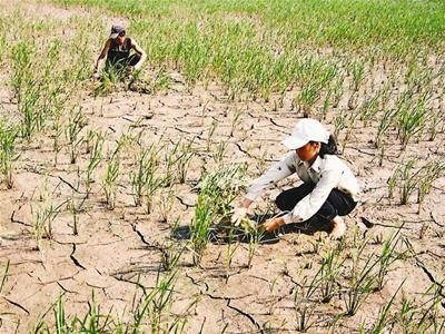 Phê duyệt dự án “Nâng cao năng lực cộng đồng ứng phó với biến đổi khí hậu tại các vùng dễ bị tổn thương tỉnh Thừa Thiên Huế”.