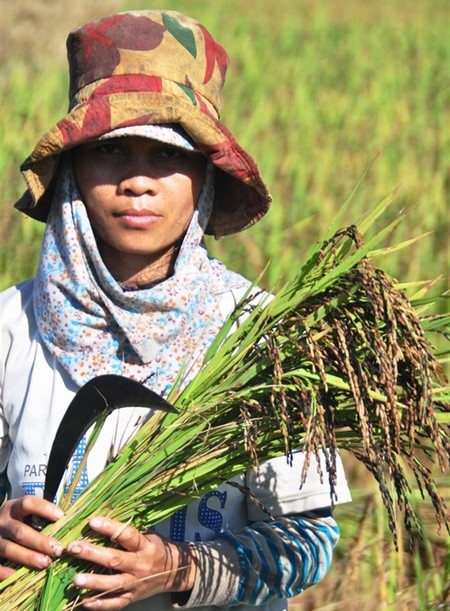 Đi tìm hạt ngọc trời