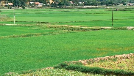 Thừa Thiên Huế đạt 68% kế hoạch thu sử dụng đất