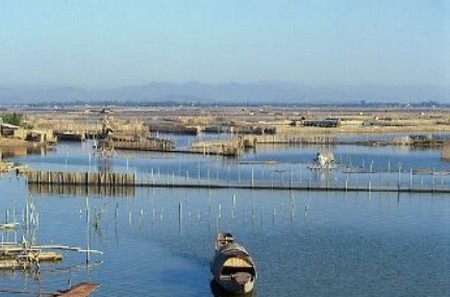 Phú Lộc tăng cường kiểm tra, xử lý vi phạm trong hoạt động khai thác thủy sản
