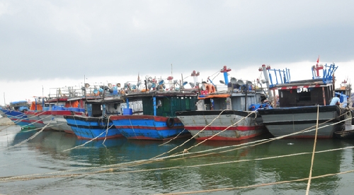 Tăng tốc hơn, hiệu quả hơn trong đánh bắt xa bờ