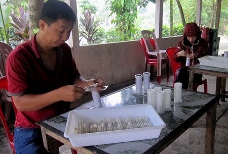 Kết quả giám sát véc tơ và phòng chống véc tơ sốt rét năm 2014 tại tỉnh Thừa Thiên Huế