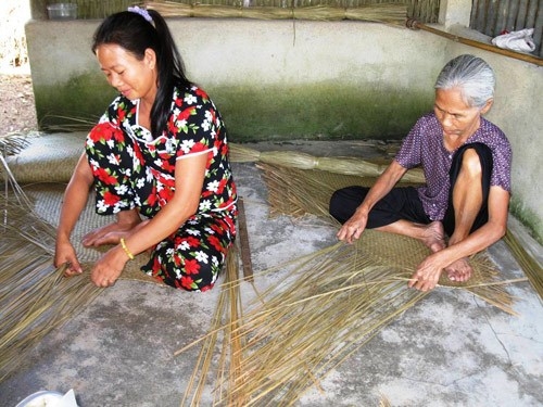 Làng nghề hồi sinh: Đệm bàng Phò Trạch