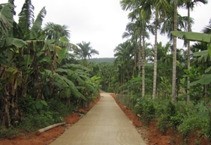 Thừa Thiên Huế được cấp 71 tỷ đồng vốn trái phiếu Chính phủ để thực hiện Chương trình nông thôn mới năm 2015