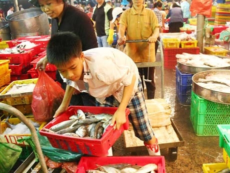 Sơ kết dự án "Ngăn chặn tình trạng trẻ em di cư tự do đi làm ăn xa và bị lạm dụng sức lao động tại tỉnh Thừa Thiên Huế”