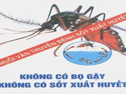 Hội nghị tăng cường công tác phòng, chống dịch sốt xuất huyết Dengue