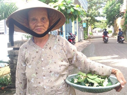 Mớ hoa ngọc lan của mệ