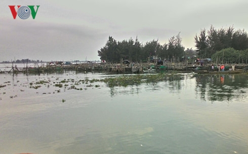 Thừa Thiên-Huế: Xả đập Thảo Long để cứu cá lồng cửa biển Thuận An